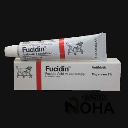 FUCIDIN CREAM 15 GM 56 LE