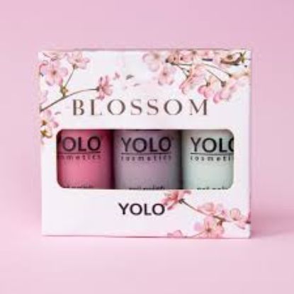 YOLO LIMITED EDITION SET-BLOSSOM 3PCS