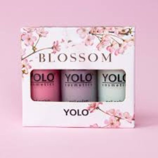 YOLO LIMITED EDITION SET-BLOSSOM 3PCS