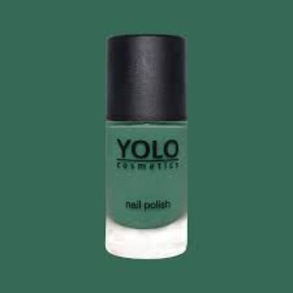 YOLO LIMITED EDITION -105 NAIL POLISH 10 ML