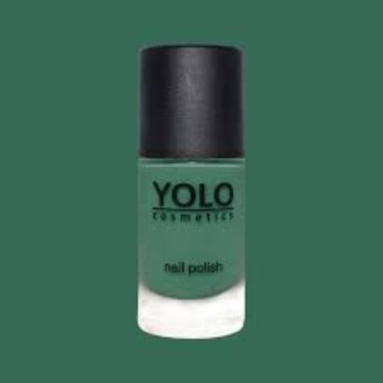 YOLO LIMITED EDITION -105 NAIL POLISH 10 ML