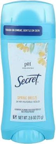 SECRET WOMEN STICK BALANCED SPRING BREEZE 73G