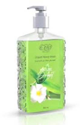 EVA HAND WASH NATURE DELIGHT 500 ML