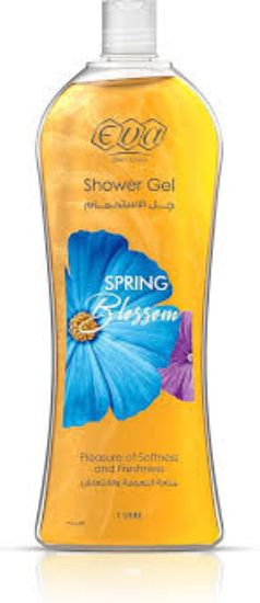 EVA SHOWER GEL SPRING BLOSSOM 1 LITER