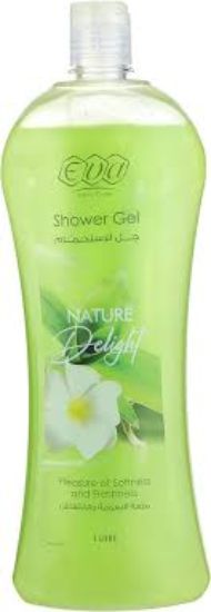 EVA SHOWER GEL NATURE DELIGHT 1 LITER
