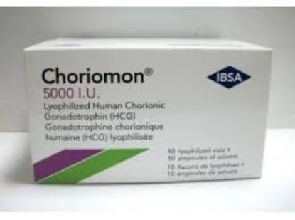 CHORIOMON 5000 UNIT 1 AMP