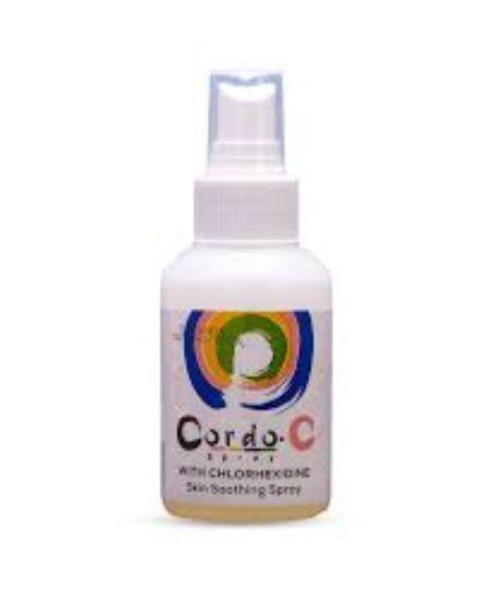 CORDO-C SPRAY 60 ML90 LE