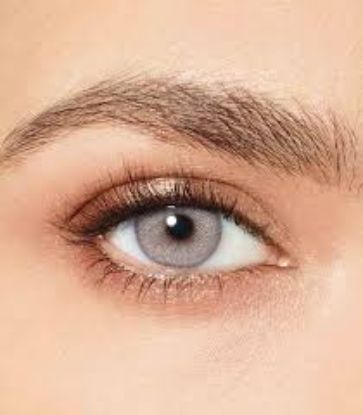 DESIO ATTITUDE ONE DAY LENS GRAY 36804