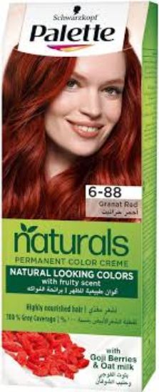 PALETTE NATURAL COLOR 6.88 GRANAT RED