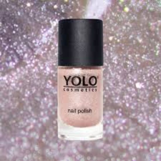 YOLO NAIL COLOR NUM 221