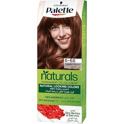 PALETTE NATURAL COLOR 6.68 بنى كراميل