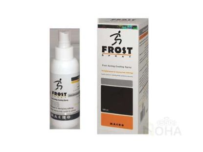 FROST SPRAY 100 ML 165 LE