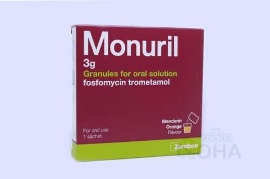 MONURIL 3 GM 1 SACHET 293 LE