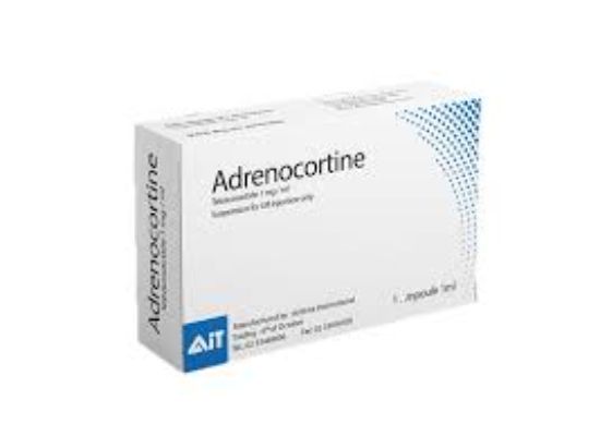 ADRENOCORTTINE 1 AMP 80 LE