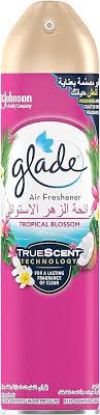 GLADE AIR FRESHENER SPRAY, TROPICAL BLOSSOMS, 300 ML