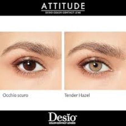 DESIO QUARTERLY LENS TENDER HAZEL OFFER