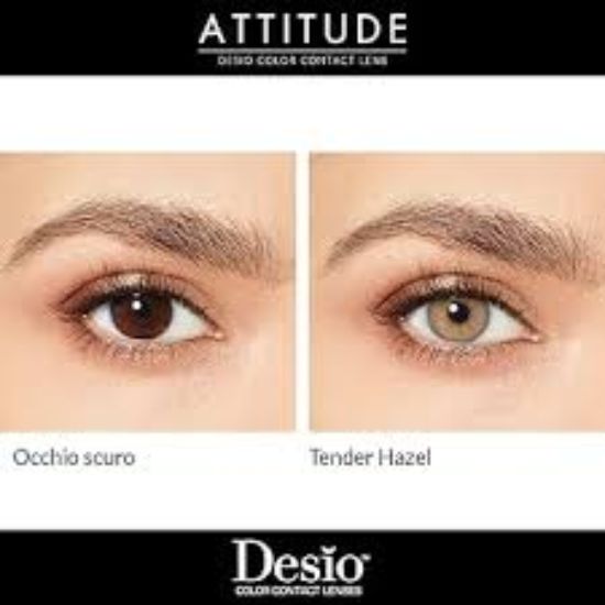 DESIO QUARTERLY LENS TENDER HAZEL OFFER
