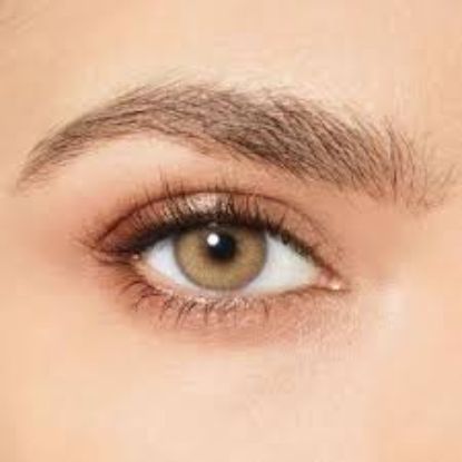 DESIO ATTITUDE ONE DAY LENS DELICIOUS HONEY