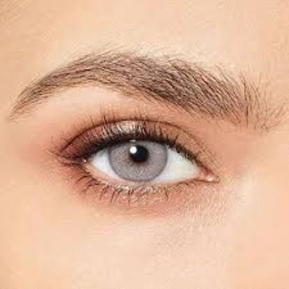 DESIO ATTITUDE ONE DAY LENS REBEL GRAY OFFER