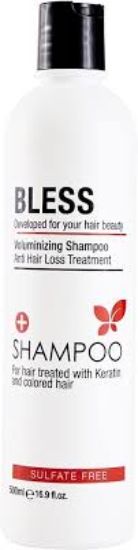 BLESS SHAMPOO KERATIN SULFATE FREE 500 ML