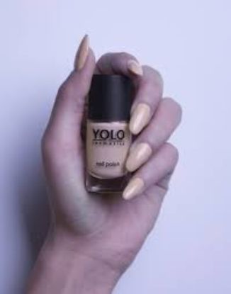 YOLO NAIL COLOR NUM 213