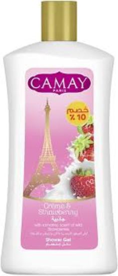CAMAY SHOWER GEL 1 LITER OUD