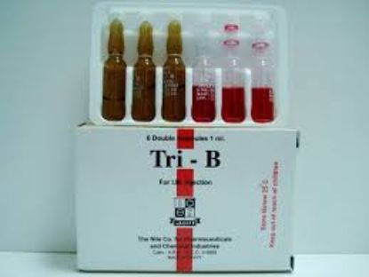 TRI-B 6 AMP 44 LE