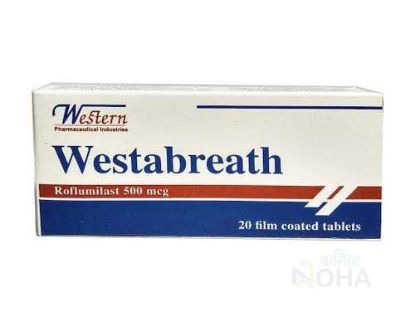 WESTABREATH 500 MCG 20 TAB 160 LE