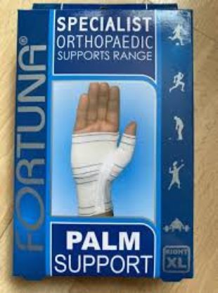 FORTUNA PALM SUPPORT RIGHT(L)