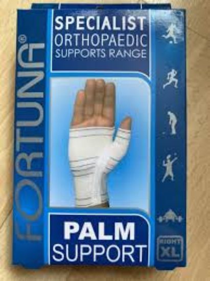 FORTUNA PALM SUPPORT RIGHT(L)