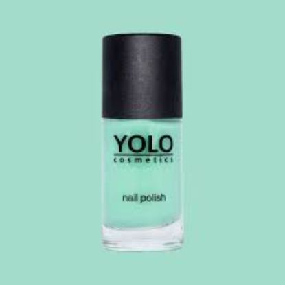 YOLO NAIL COLOR NUM 173