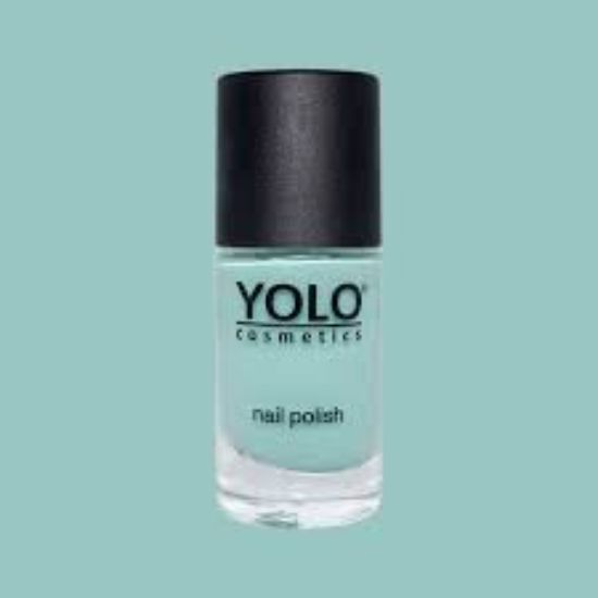YOLO NAIL COLOR NUM 172
