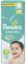 PAMPERS 5-58 (11-25)K اخضر