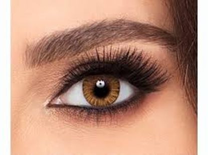 FRESH LOOK COLOR LENSES HONEY