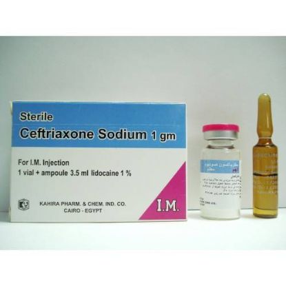 CEFTRIAXONE SODIUM 1 GM VIAL IM 29 LE