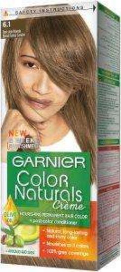 GARNIER COLOR 6.1 اشقر رمادي غامق