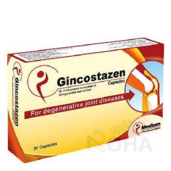 GINCOSTAZEN 30 CAP 120 LE