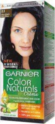 GARNIER COLOR 2.1 اسود مزرق