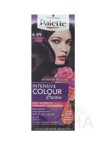 PALETTE COLOR 6-99 بنفسجي مكثف