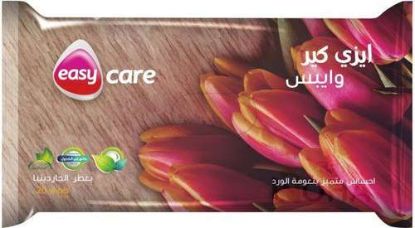 EASY CARE ADULT 20 WIPES
