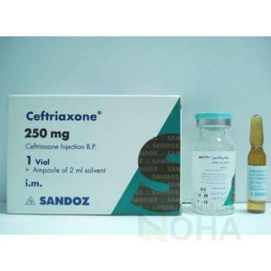CEFTRIAXONE 0.25 GM VIAL IM