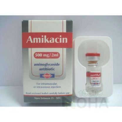 AMIKACIN 500 MG VIAL 34 LE