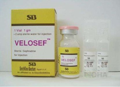 VELOSEF 1 GM VIAL