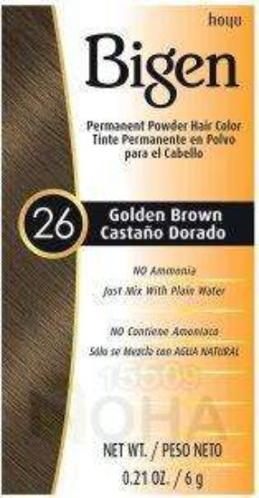 BIGEN POWDER HAIR COLOR 26