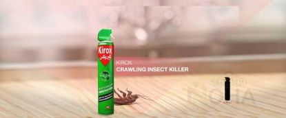 KIROX POWDER 150 MLللحشرات الزاحفة