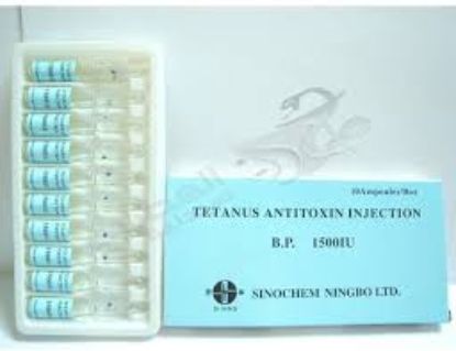 TETANUS ANTITOXIN 10 AMP