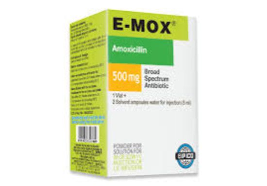 E-MOX 500 MG VIAL