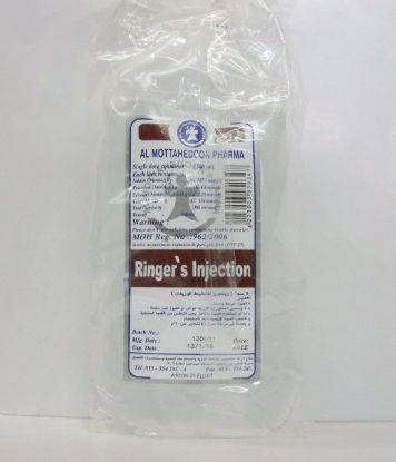 RINGER SOLUTION INJECTION 500 ML 24 LE
