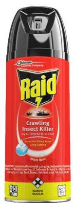 RAID INSECT KILLER 300 ML احمر زاحف