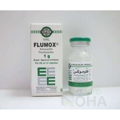 FLUMOX 1 GM VIAL 26 LE